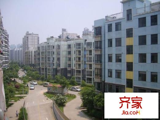 衛(wèi)東花園外景圖 