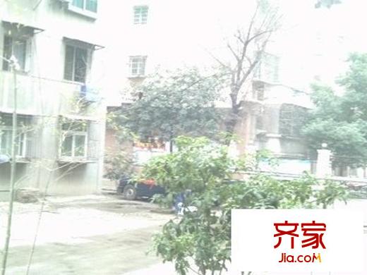 沙井小區(qū)外景圖 