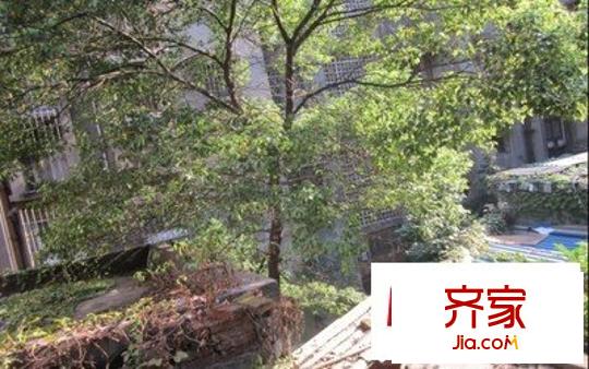 船山路船山广场外景图