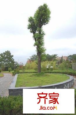 精英汇外景图小区相关图_6