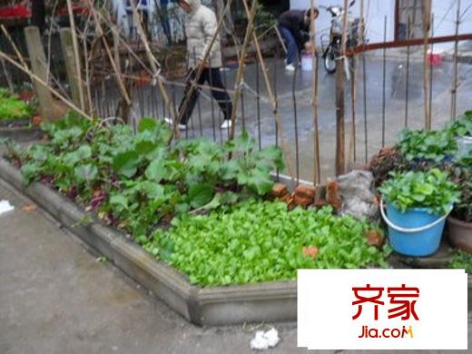 學(xué)院路教育學(xué)院外景圖宿舍 
