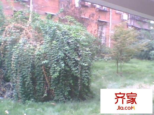 永外正街一附院宿舍外景图