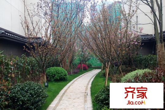 國貿(mào)春天小區(qū)內(nèi)部園林（2015.3.29）