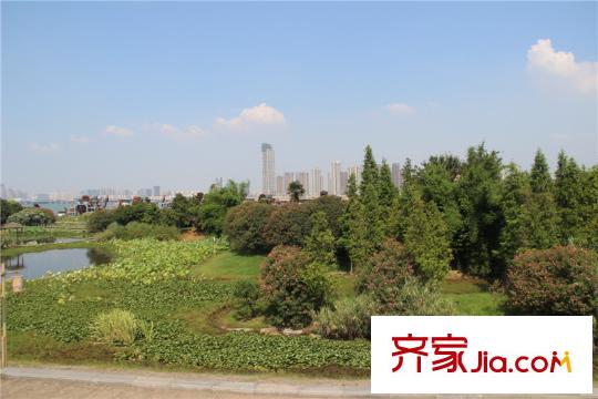 明園九龍灣項(xiàng)目周邊1000米內(nèi)漁舟灣濕地公園