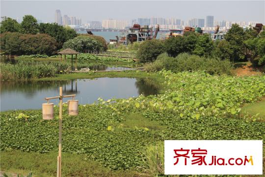 明園九龍灣項(xiàng)目周邊1000米內(nèi)漁舟灣濕地公園