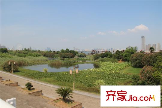 明園九龍灣項(xiàng)目周邊1000米內(nèi)漁舟灣濕地公園