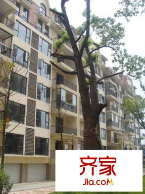 路通城邦外景图小区实景