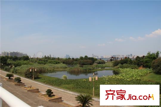 明園九龍灣項(xiàng)目周邊1000米內(nèi)漁舟灣濕地公園