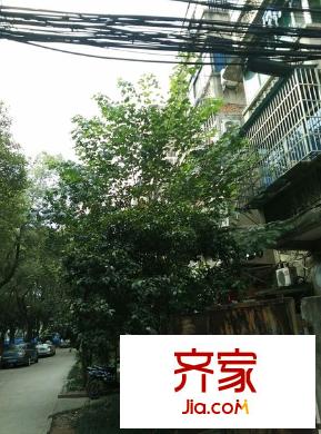 师大南路外景图