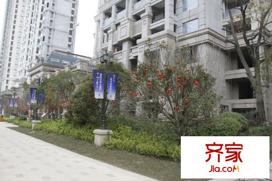 路通沁园小区内部(2015.3.24)