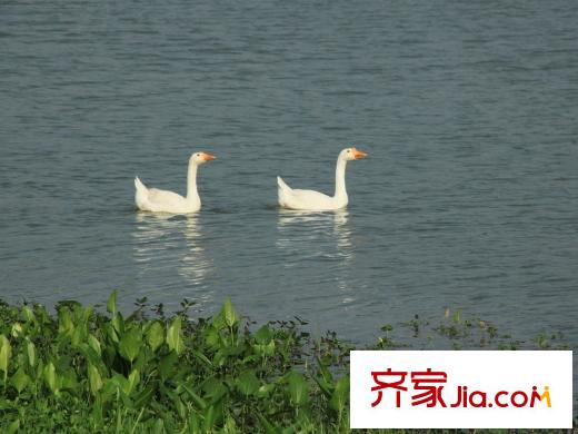 路通沁园艾溪湖湿地公园