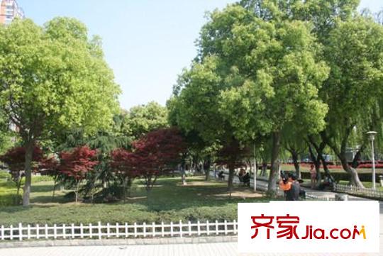 高能国际公寓配套图周边园林