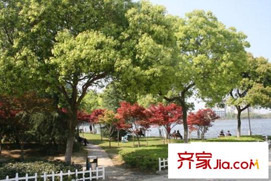 高能国际公寓配套图周边园林