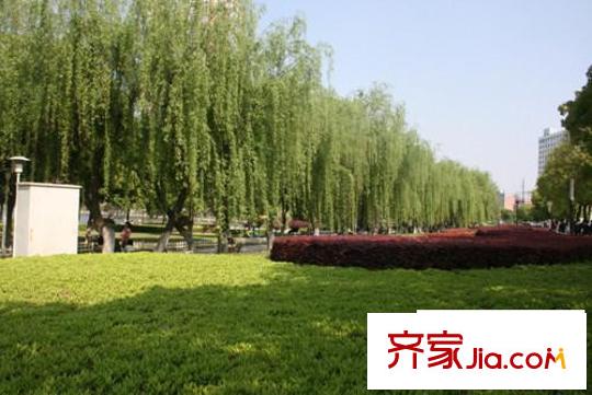 高能国际公寓配套图周边园林