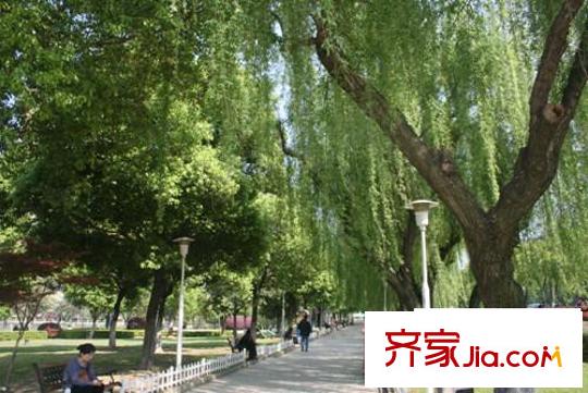 高能国际公寓配套图周边园林