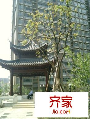 平方米鼎福第外景图