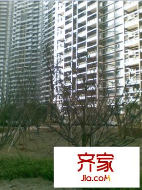 平方米鼎福第外景图