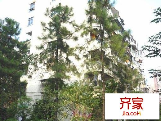 工贸一村桃园小区外景图小区相关图_3