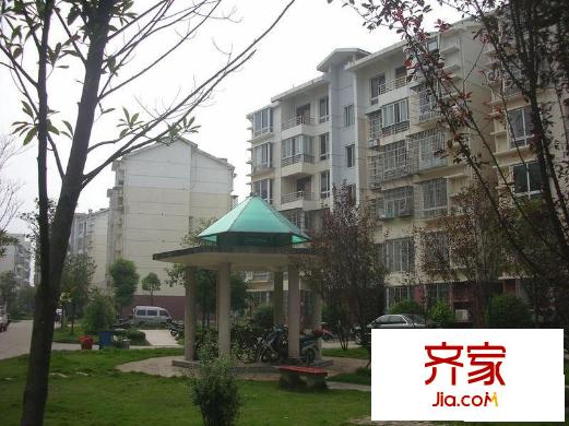 京东小区F区外景图小区相关图_5