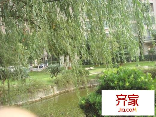 江中花园外景图小区相关图_7