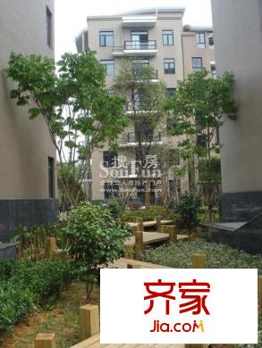 中大青山湖花园外景图宅间小道