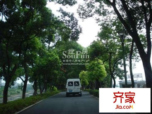 中大青山湖花园外景图周边绿林环绕