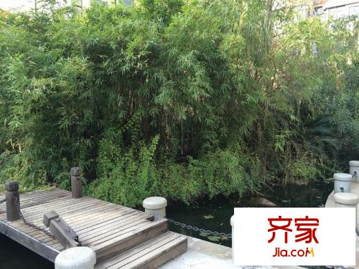 天賜良園外景圖 