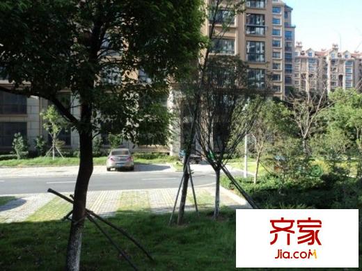 溪湖春天外景圖 