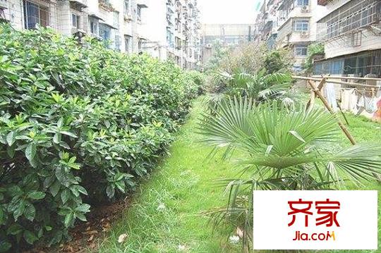 荣昌小区外景图小区相关图_4