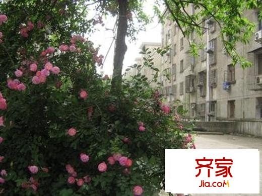 青山湖小区外景图