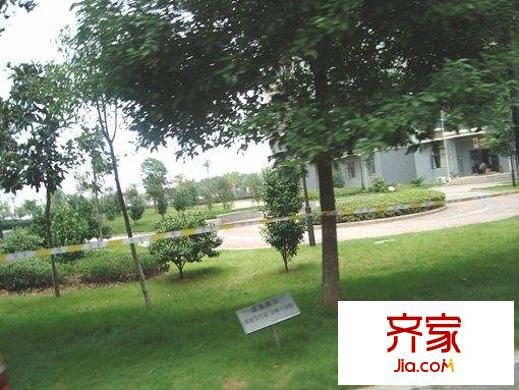 江信國際花園外景圖小區(qū)相關(guān)圖_2
