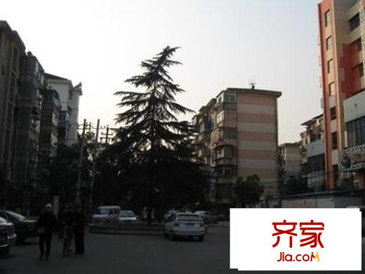 青山湖小区外景图