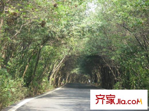 城泰青年家项目附近艾溪湖湿地公园