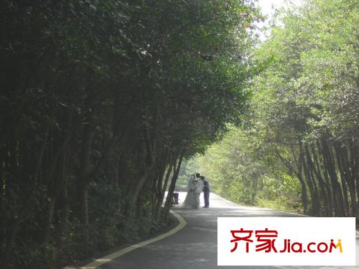 城泰青年家项目附近艾溪湖湿地公园