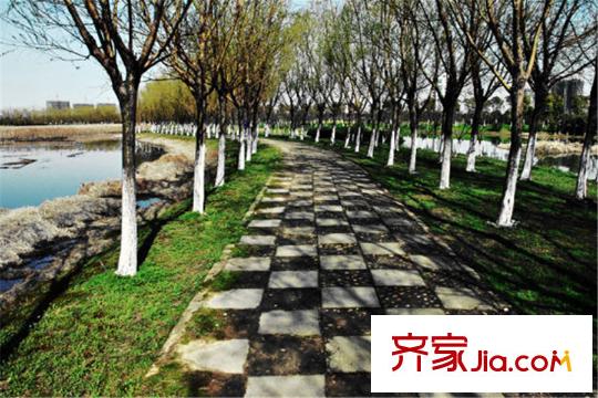 香缇溪岸距离项目800米左右的艾溪湖湿地公园