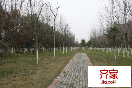 香缇溪岸园林实景(2015-03)