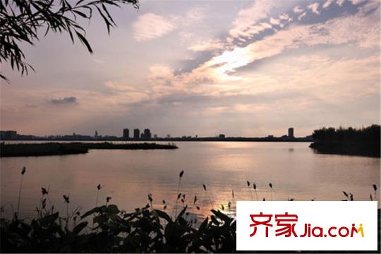 香缇溪岸距离项目800米左右的艾溪湖湿地公园