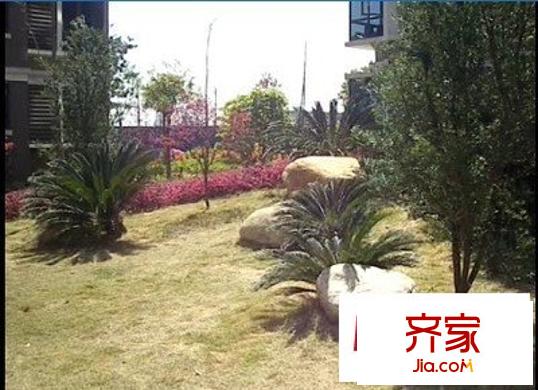 中凱藍(lán)域外景圖 