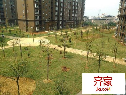 陽光嘉苑外景圖 