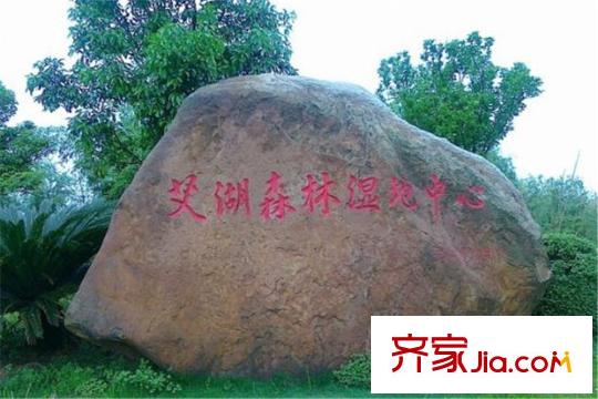 香缇溪岸距离项目800米左右的艾溪湖湿地公园