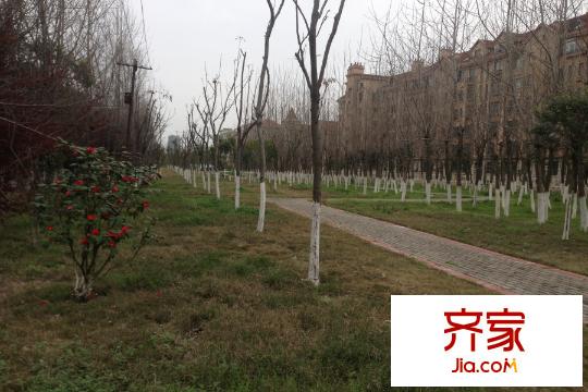 香缇溪岸园林实景(2015-03)