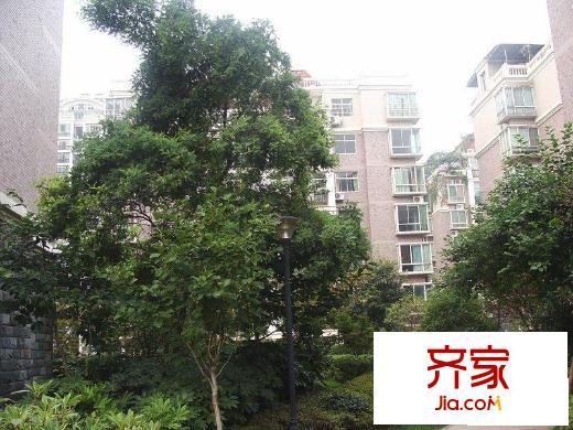 东方塞纳外景图小区相关图_1