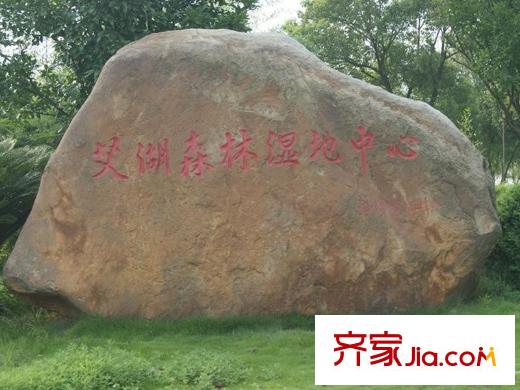方大上上城以西100米左右艾溪湖濕地公園
