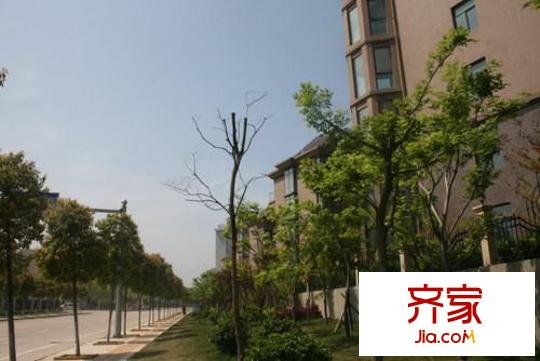 洪城比華利外景圖項(xiàng)目