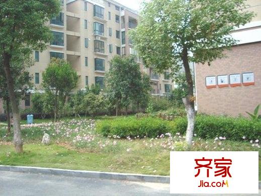 紅谷春天外景圖小區(qū)相關圖_6