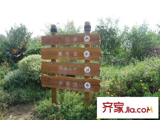 綠地玫瑰城項(xiàng)目1000米左右的艾溪湖濕地公園