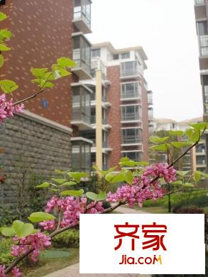 綠地海域香廷外景圖 