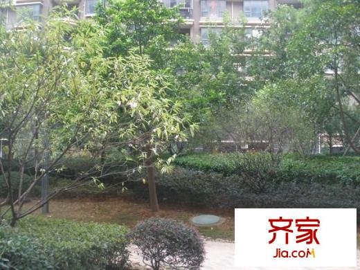 綠地海域香廷