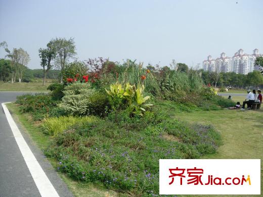 綠地玫瑰城項(xiàng)目1000米左右的艾溪湖濕地公園