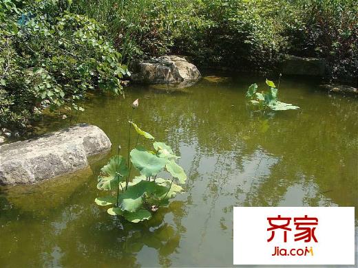 凱美艾溪湖項(xiàng)目（2013-03-27）
